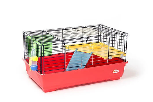 Animalis - Cage Équipée Pour Cobaye - 80x48,5x42cm 3 Animalis - Cage Équipée Pour Cobaye - 80x48,5x42cm