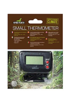 Reptiles Planet - Thermomètre Digital Small Thermometer Pour Terrarium