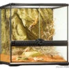 Exo Terra - Terrarium En Verre Pour Reptile - 45x45x45cm -Magasin De Fournitures Pour Animaux De Compagnie 2023