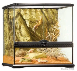 Exo Terra - Terrarium En Verre Pour Reptile - 45x45x45cm