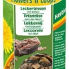 Sera - Friandises Flowers'n'Loops à Base De Fleurs Sèches Pour Reptiles Herbivores - 1L