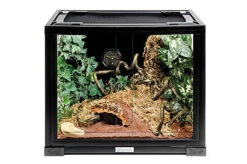 Animalis - Kit Gecko - 50cm -Magasin De Fournitures Pour Animaux De Compagnie 22102