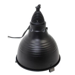 Animalis - Kit Gecko - 50cm -Magasin De Fournitures Pour Animaux De Compagnie 22113