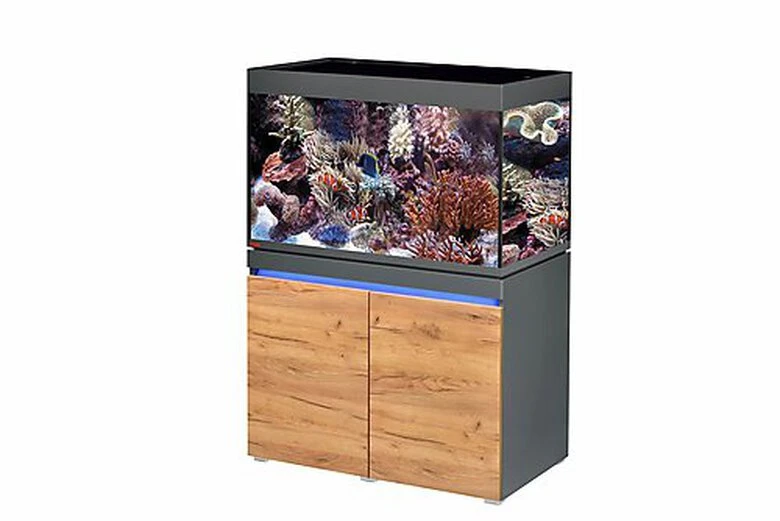 Eheim - Aquarium Incpiria Marin 330L Avec Meuble - Graphit Nature 3 Eheim - Aquarium Incpiria Marin 330L Avec Meuble - Graphit Nature