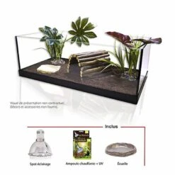 Animalis - Kit Tortue Terrestre - 60 7 Animalis - Kit Tortue Terrestre - 60 -Magasin De Fournitures Pour Animaux De Compagnie 40061