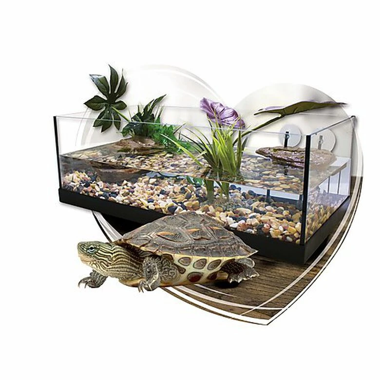 Animalis - Kit Tortue Aquatique - 60 4 Animalis - Kit Tortue Aquatique - 60 – Image 2