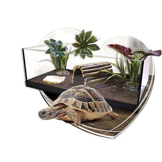 Animalis - Kit Tortue Terrestre - 80 4 Animalis - Kit Tortue Terrestre - 80 – Image 2