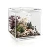 BiOrb - Aquarium Cube 30 Mcr Transparent -Magasin De Fournitures Pour Animaux De Compagnie 41644