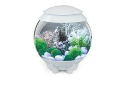BiOrb - Aquarium Halo 15 Mcr Blanc