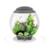 BiOrb - Aquarium Halo 60 Mcr Gris -Magasin De Fournitures Pour Animaux De Compagnie 41668