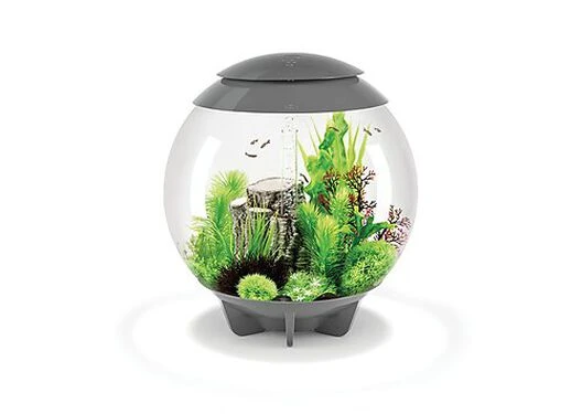 BiOrb - Aquarium Halo 60 Mcr Gris 3 BiOrb - Aquarium Halo 60 Mcr Gris