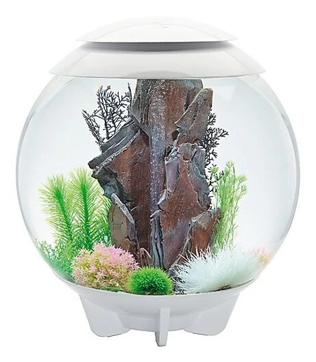 BiOrb - Aquarium Halo 60 Mcr Blanc 3 BiOrb - Aquarium Halo 60 Mcr Blanc