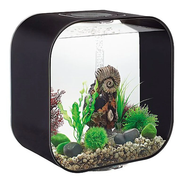 BiOrb - Aquarium Life 30 Mcr Noir 3 BiOrb - Aquarium Life 30 Mcr Noir