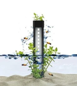 Ciano - Aquarium Nexus Design Équipé De LED + Filtre -Magasin De Fournitures Pour Animaux De Compagnie 42362