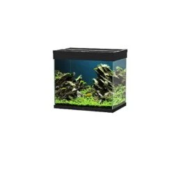 Ciano - Aquarium Emotions Nature Pro 60 - Noir