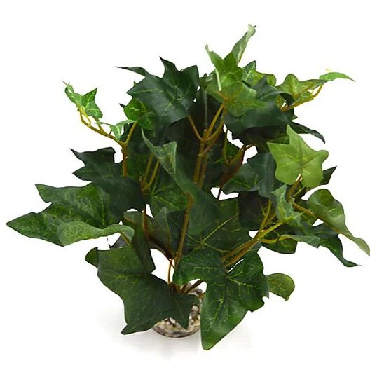 Labeo - Décoration Plante Verte Artificielle Pour Aquarium 4 Labeo - Décoration Plante Verte Artificielle Pour Aquarium – Image 2