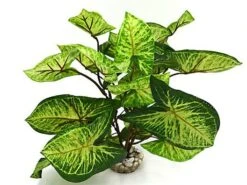 Labeo - Décoration Plante Verte Artificielle Pour Aquarium 7 Labeo - Décoration Plante Verte Artificielle Pour Aquarium -Magasin De Fournitures Pour Animaux De Compagnie 45815