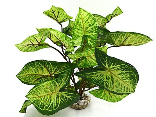 Labeo - Décoration Plante Verte Artificielle Pour Aquarium 5 Labeo - Décoration Plante Verte Artificielle Pour Aquarium – Image 3