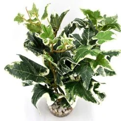 Labeo - Décoration Plante Verte Artificielle Pour Aquarium