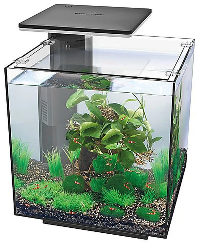 Superfish - Aquarium Equipé Qubiq Pro 30 Pour Poisson - Noir 4 Superfish - Aquarium Equipé Qubiq Pro 30 Pour Poisson - Noir – Image 2