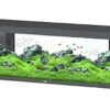 Aquatlantis -Aquarium SPLENDID 200 Led 2.0 Equipé Anthracite - 500L -Magasin De Fournitures Pour Animaux De Compagnie 72866