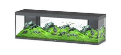 Aquatlantis -Aquarium SPLENDID 200 Led 2.0 Equipé Anthracite - 500L
