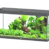 Aquatlantis - Aquarium SPLENDID 120 Led 2.0 Equipé Anthracite - 240L 2 Aquatlantis - Aquarium SPLENDID 120 Led 2.0 Equipé Anthracite - 240L -Magasin De Fournitures Pour Animaux De Compagnie 72867