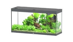 Aquatlantis - Aquarium SPLENDID 120 Led 2.0 Equipé Anthracite - 240L