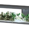 Aquatlantis - Aquarium SPLENDID 150 Led 2.0 Equipé Anthracite - 298L 2 Aquatlantis - Aquarium SPLENDID 150 Led 2.0 Equipé Anthracite - 298L -Magasin De Fournitures Pour Animaux De Compagnie 72868