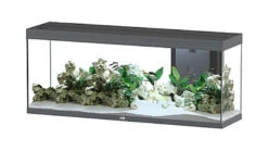Aquatlantis - Aquarium SPLENDID 150 Led 2.0 Equipé Anthracite - 298L