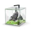 Aquatlantis - Aquarium KUBUS 33 Équipé Avec Filtre - 33L 1 Aquatlantis - Aquarium KUBUS 33 Équipé Avec Filtre - 33L -Magasin De Fournitures Pour Animaux De Compagnie 72876