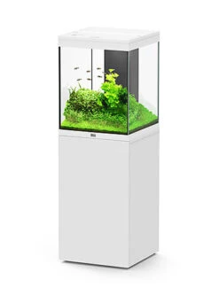 Aquatlantis - Aquarium + Meuble Led Equipé AQUA TOWER 163 Blanc - 163L