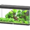 Aquatlantis - Aquarium SPLENDID 120 Led 2.0 Equipé Noir - 240L