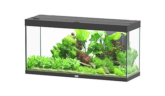 Aquatlantis - Aquarium SPLENDID 120 Led 2.0 Equipé Noir - 240L 3 Aquatlantis - Aquarium SPLENDID 120 Led 2.0 Equipé Noir - 240L