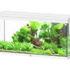Aquatlantis - Aquarium SPLENDID 120 Led 2.0 Equipé Blanc - 240L 1 Aquatlantis - Aquarium SPLENDID 120 Led 2.0 Equipé Blanc - 240L -Magasin De Fournitures Pour Animaux De Compagnie 72882