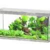 Aquatlantis - Aquarium SPLENDID Led 2.0 Equipé Gris Béton - 240L -Magasin De Fournitures Pour Animaux De Compagnie 72884