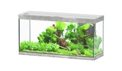 Aquatlantis - Aquarium SPLENDID Led 2.0 Equipé Gris Béton - 240L