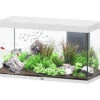 Aquatlantis - Aquarium SUBLIME 120 Led Blanc Brillant - 333L 2 Aquatlantis - Aquarium SUBLIME 120 Led Blanc Brillant - 333L -Magasin De Fournitures Pour Animaux De Compagnie 72923
