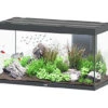 Aquatlantis - Aquarium SUBLIME 120 Led Anthracite - 333L