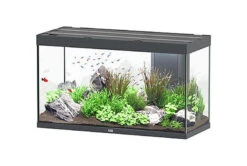 Aquatlantis - Aquarium SUBLIME 120 Led Anthracite - 333L