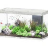 Aquatlantis - Aquarium SUBLIME 120 Led Gris Béton - 333L 2 Aquatlantis - Aquarium SUBLIME 120 Led Gris Béton - 333L -Magasin De Fournitures Pour Animaux De Compagnie 72925
