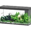 Aquatlantis - Aquarium SUBLIME 150 Led Noir - 545L -Magasin De Fournitures Pour Animaux De Compagnie 72926
