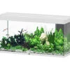 Aquatlantis - Aquarium SUBLIME 150 Led Blanc - 545L -Magasin De Fournitures Pour Animaux De Compagnie 72929