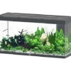Aquatlantis - Aquarium SUBLIME 150 Led Anthracite - 545L