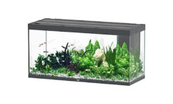 Aquatlantis - Aquarium SUBLIME 150 Led Anthracite - 545L