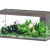 Aquatlantis - Aquarium SUBLIME 150 Led Chêne Brun - 545L 2 Aquatlantis - Aquarium SUBLIME 150 Led Chêne Brun - 545L -Magasin De Fournitures Pour Animaux De Compagnie 72933