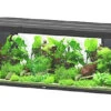 Aquatlantis - Aquarium SUBLIME 200 Led Noir - 853L 2 Aquatlantis - Aquarium SUBLIME 200 Led Noir - 853L -Magasin De Fournitures Pour Animaux De Compagnie 72934