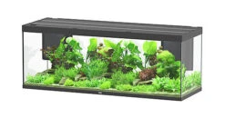 Aquatlantis - Aquarium SUBLIME 200 Led Noir - 853L