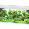 Aquatlantis - Aquarium SUBLIME 200 Led Blanc - 853L