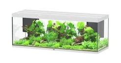 Aquatlantis - Aquarium SUBLIME 200 Led Blanc - 853L